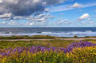 Tamarack Beach-2151.jpg